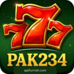 PAK234 Game