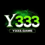 Y333 Game